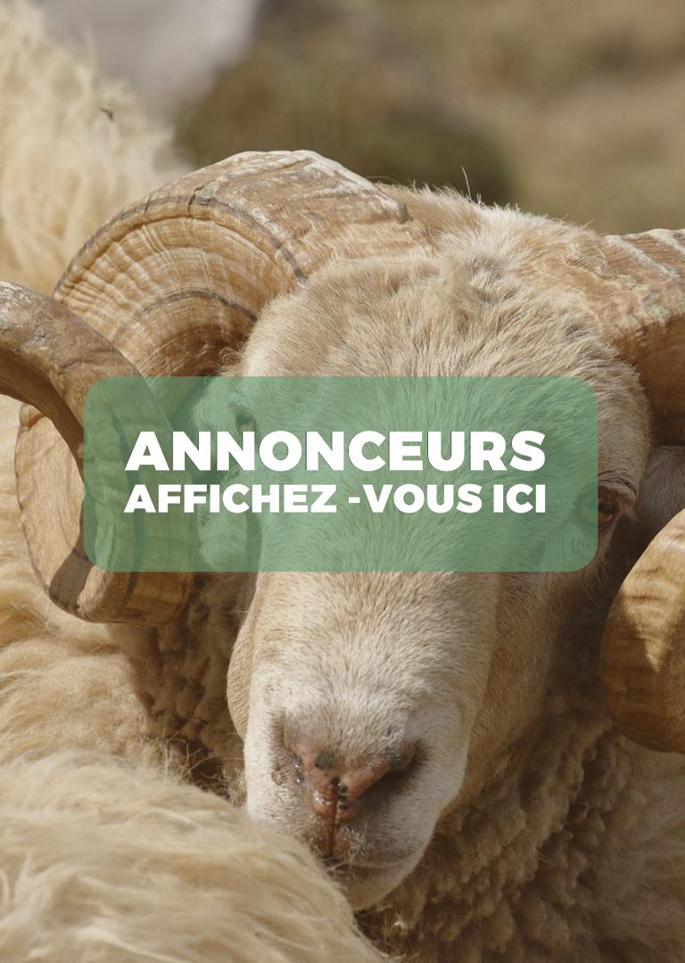 Publicité 2